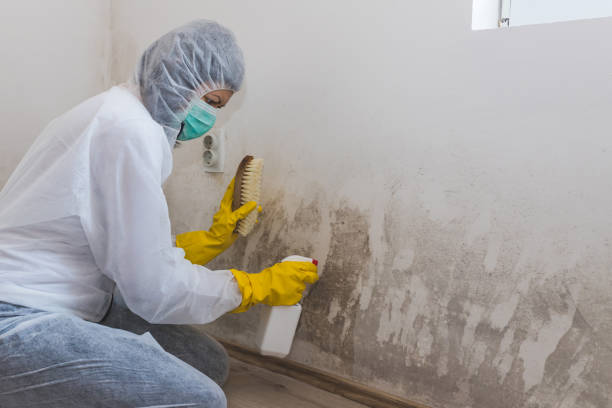 Best Residential Mold Remediation in Goldsby, OK