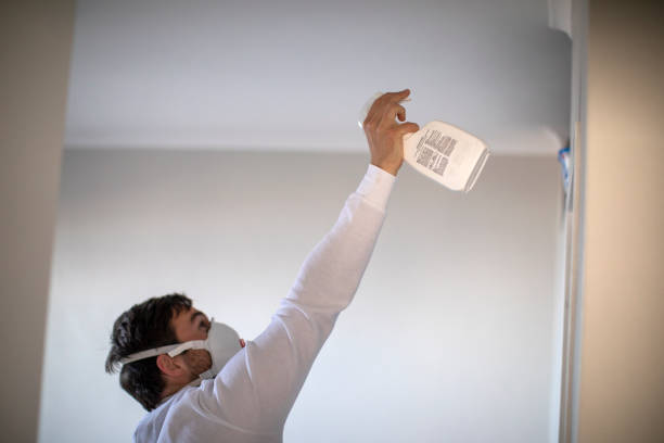 Best Emergency Mold Remediation in Goldsby, OK