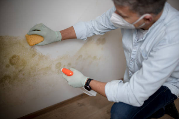 Best HVAC Mold Remediation in Goldsby, OK