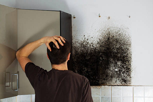 Best Crawl Space Mold Remediation in Goldsby, OK