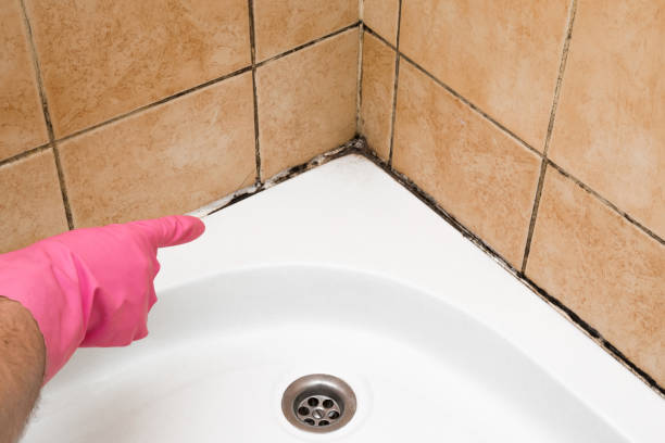 Best Localized Mold Remediation (e.g., coastal areas, humid climates) in Goldsby, OK